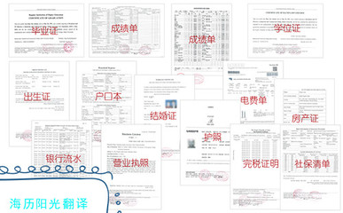 宜昌证件翻译盖章 专业资质与政府认可，双保障翻译服务解析